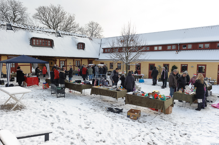 Filename: DS1_6865