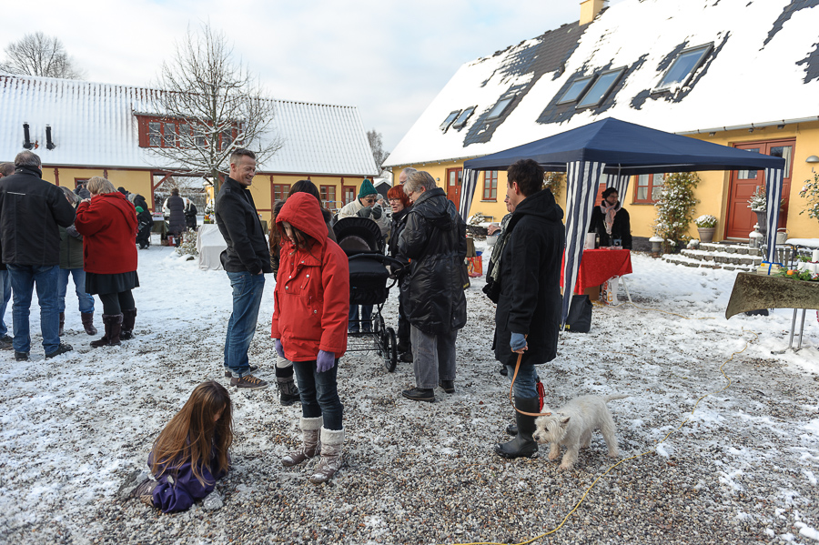 Filename: DS1_6875
