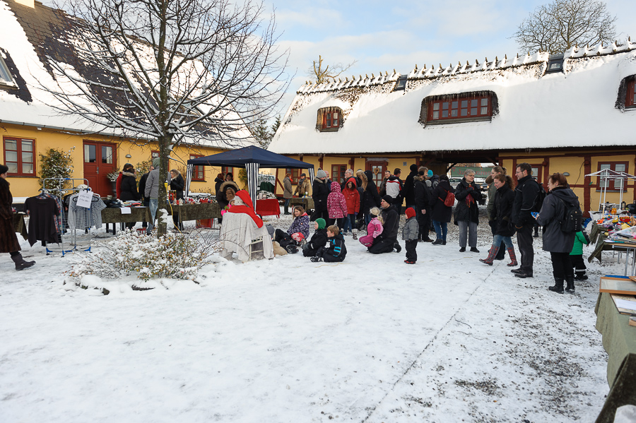 Filename: DS1_6923
