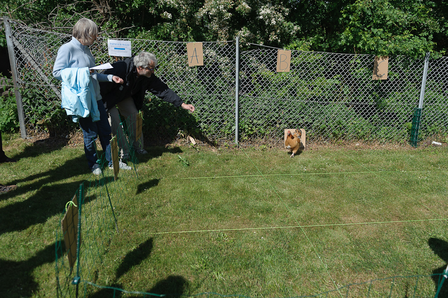 Filename: DS1_0247