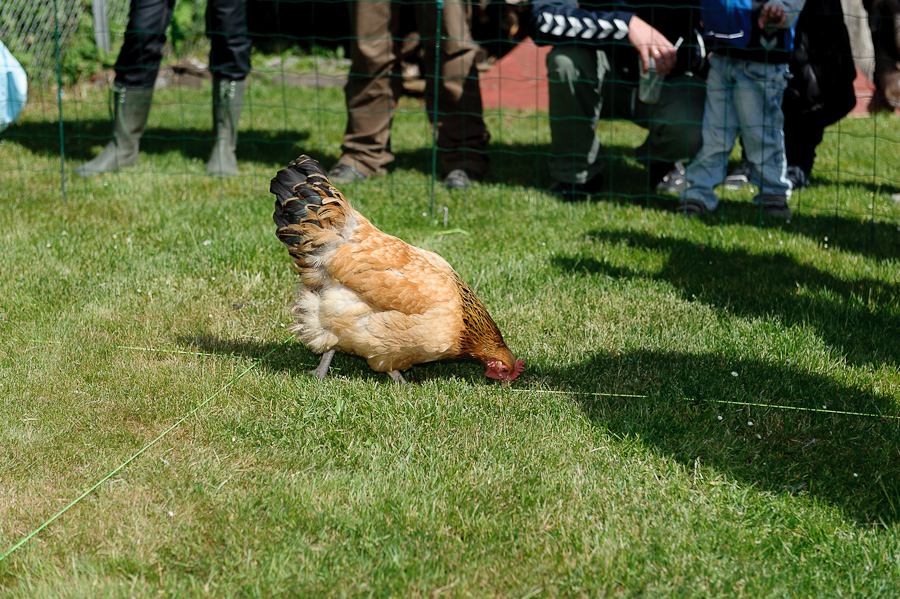 Filename: DS1_0256