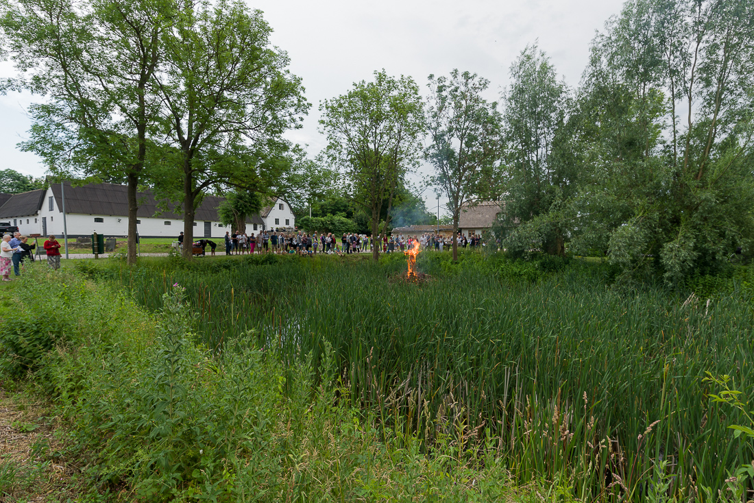 Filename: 810_8606